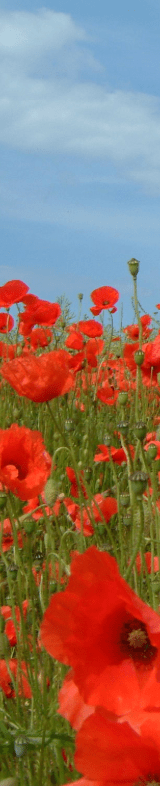 Screen Shot 2016-10-22 at 23.26.55.png