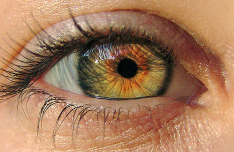 Screenshot 2020-04-23 at 17.35.32.png